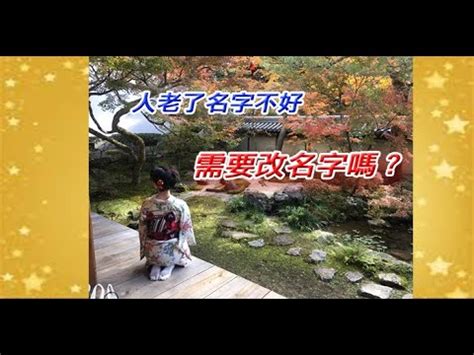 彣 意思 名字|【彣意思名字】 彣 字深藏的奧秘：姓名學裡的寓意與五行解析